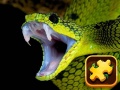 Jeu Défi Puzzle Serpent en ligne