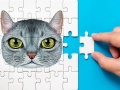 Jeu Défi de Puzzle Abyssin en ligne