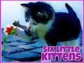 Jeu Six petits chatons en ligne