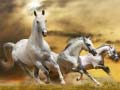 Jeu Glissade du Cheval Courant en ligne