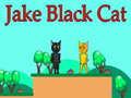 Jeu Jake Chat Noir en ligne