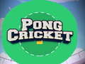 Jeu Pong Cricket en ligne