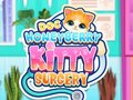 Jeu Doc HoneyBerry Chirurgie de Kitty en ligne