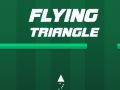 Jeu Triangle volant en ligne