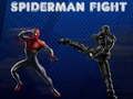 Jeu Combat de Spider-Man en ligne