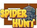Jeu Chasse aux araignées en ligne