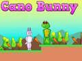 Jeu Cano Lapin en ligne Jeu Cano Lapin en ligne