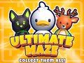 Jeu Labyrinthe Ultime ! Collecte-les tous ! en ligne