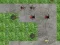 Jeu Défense de Tour Araignée en ligne
