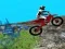 Jeu Essais de Vélo en Forêt 2019 en ligne
