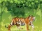 Jeu Coloriage Tigre Enragé en ligne