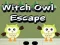 Jeu Évasion de la Sorcière Hibou en ligne