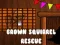 Jeu Sauvetage de l'écureuil brun en ligne
