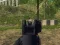 Jeu Tireur d'armée en ligne