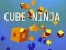 Jeu Ninja Cubique en ligne
