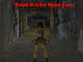Jeu Tomb Raider : Lara à découvert en ligne