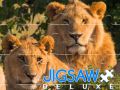 Jeu Puzzle Deluxe en ligne