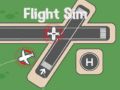 Jeu Simulateur de Vol en ligne