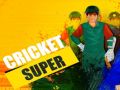 Jeu Super Cricket en ligne