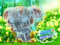 Jeu Koala Heureux en ligne