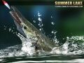Jeu Lac d'Été 1.5 en ligne Jeu Lac d'Été 1.5 en ligne