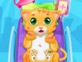 Jeu Petit Chat Médecin en ligne