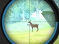 Jeu Entraînement de Chasseur en ligne Jeu Entraînement de Chasseur en ligne