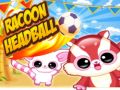 Jeu Tête de Raton Laveur en ligne