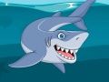 Jeu Puzzle Requin en ligne