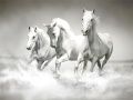 Jeu Puzzle de chevaux en ligne