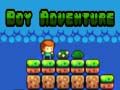 Jeu Aventure du garçon en ligne