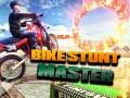 Jeu Maître des cascades à vélo en ligne