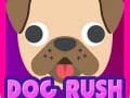 Jeu Chien en Folie en ligne