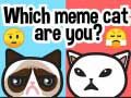 Jeu Quel chat mème êtes-vous ? en ligne