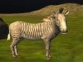 Jeu Chasse aux animaux sauvages de la jungle en ligne