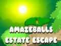 Jeu Évasion Épatante du Domaine en ligne