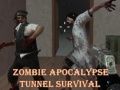 Jeu Survie dans le tunnel de l'apocalypse zombie en ligne