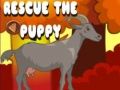 Jeu Sauvez le chiot en ligne