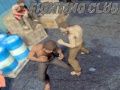 Jeu Club de combat en ligne