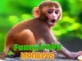 Jeu Bébé singe drôle en ligne