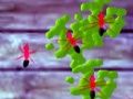 Jeu Écraser les fourmis en ligne