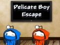 Jeu Évasion du garçon délicat en ligne