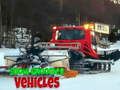 Jeu Véhicules de Piste Neige en ligne