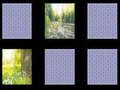 Jeu Mémoire de la Nature en ligne