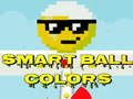 Jeu Balle Intelligente Couleurs en ligne