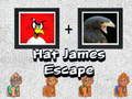 Jeu Évasion de James avec un Chapeau en ligne