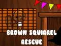 Jeu Sauvetage de l'écureuil brun en ligne