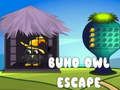 Jeu Évasion du hibou Buho en ligne
