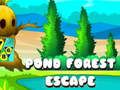 Jeu Évasion de la forêt du étang en ligne