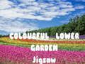 Jeu Puzzle du Jardin de Fleurs Coloré en ligne